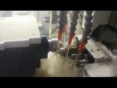 sm205 स्विस प्रकार